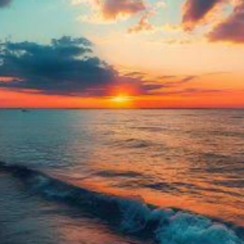 สมาชิกหมายเลข 7194725