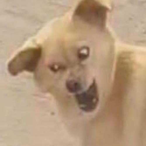 สมาชิกหมายเลข 8335894