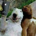 สมาชิกหมายเลข 3987473