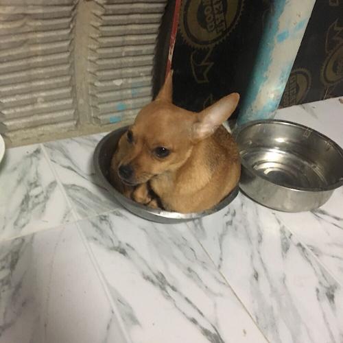 สมาชิกหมายเลข 1522999