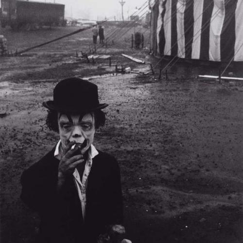 สมาชิกหมายเลข 4797088