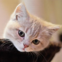 สมาชิกหมายเลข 3942463