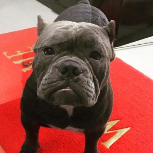 สมาชิกหมายเลข 5177829