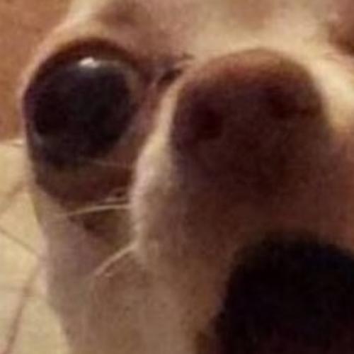 สมาชิกหมายเลข 3827521