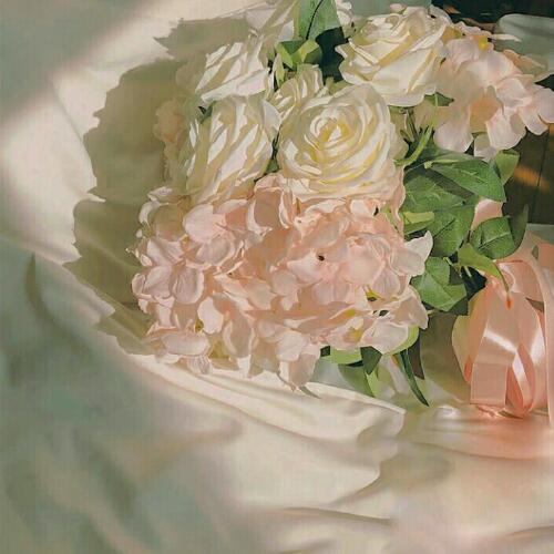 สมาชิกหมายเลข 4963040