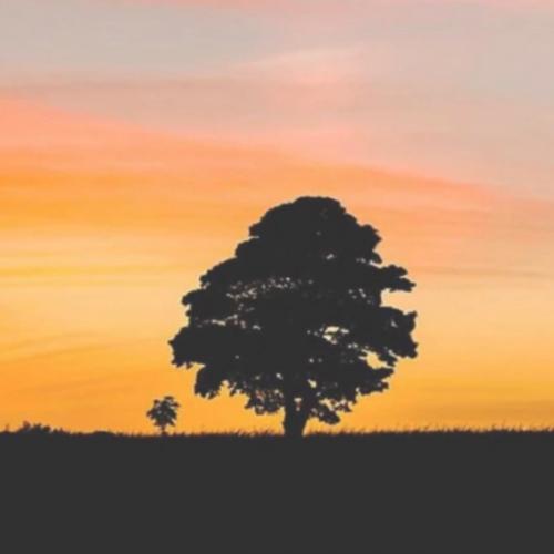 สมาชิกหมายเลข 1150064