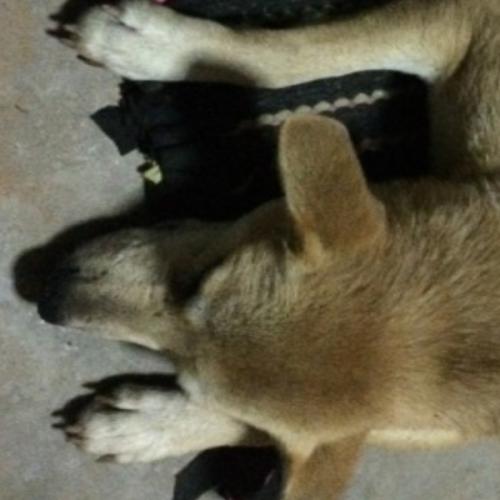 สมาชิกหมายเลข 1245208