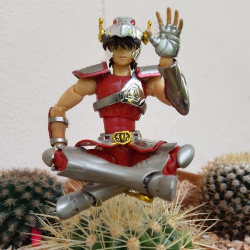 พ่อไอ้หมูเซย่า