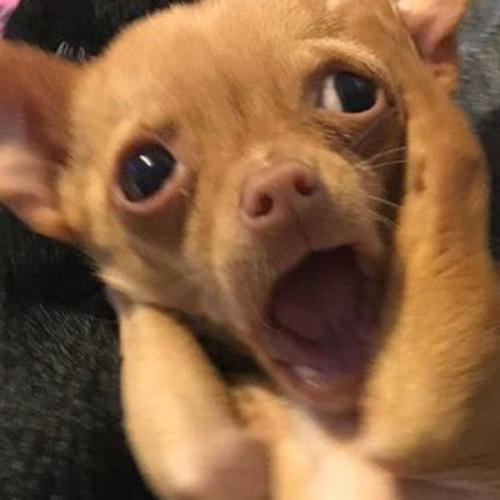 สมาชิกหมายเลข 6031238