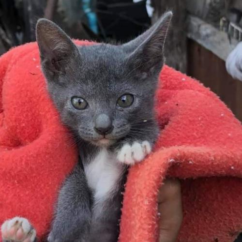 สมาชิกหมายเลข 3386839