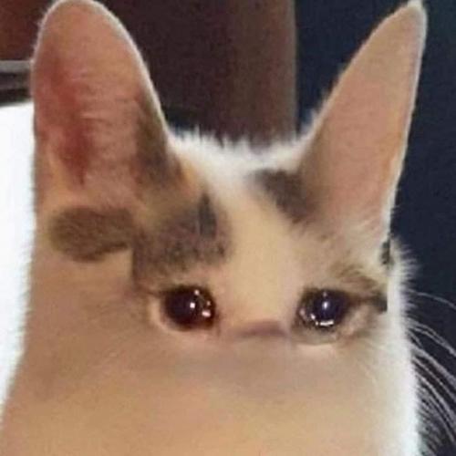 สมาชิกหมายเลข 5680220