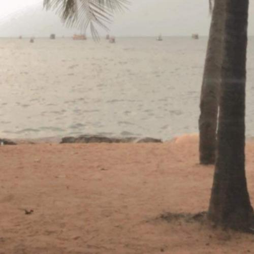 สมาชิกหมายเลข 6664709