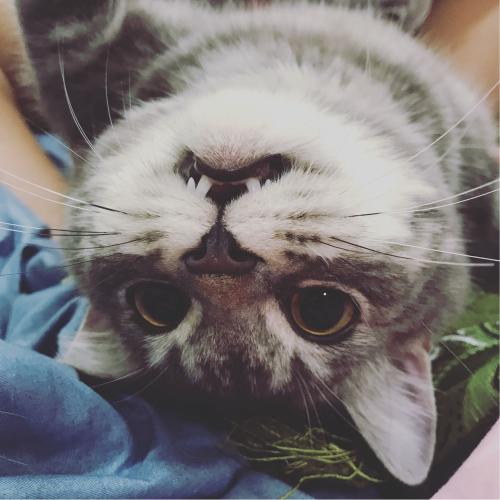 สมาชิกหมายเลข 2213138