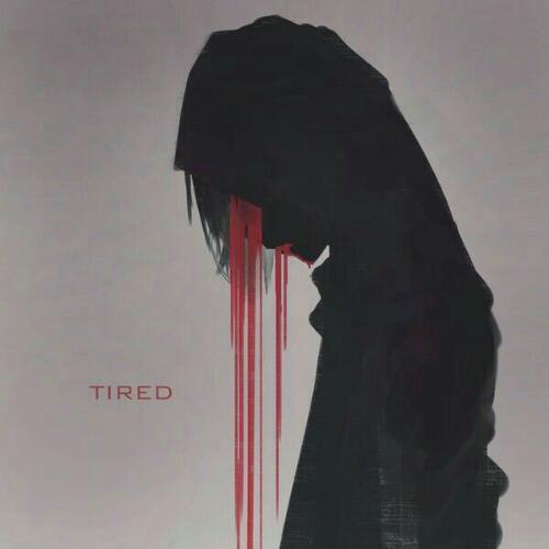 สมาชิกหมายเลข 4386891