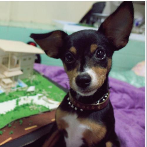 สมาชิกหมายเลข 2038262