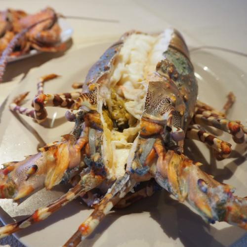 สมาชิกหมายเลข 6146993