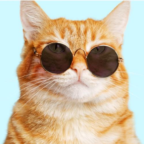 สมาชิกหมายเลข 7545168