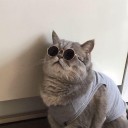 สมาชิกหมายเลข 3838443