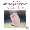 สมาชิกหมายเลข 4459387
