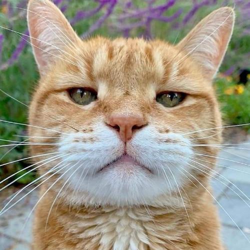 สมาชิกหมายเลข 5178552