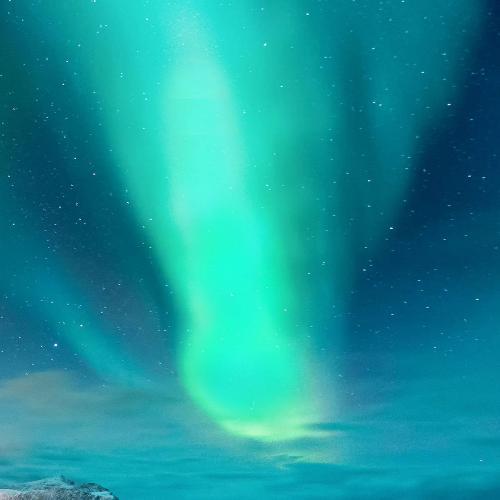 สมาชิกหมายเลข 5178595