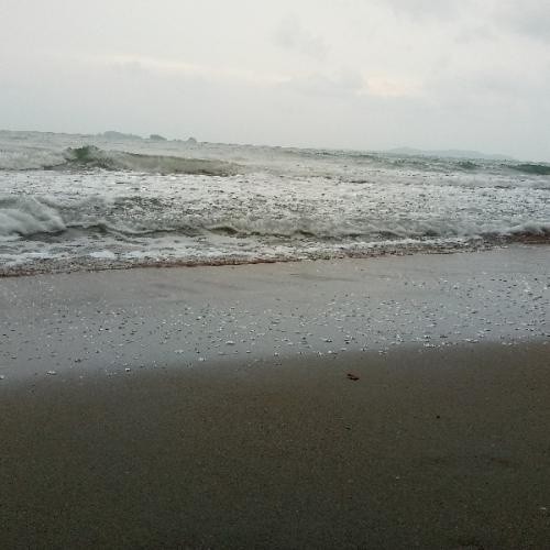 สมาชิกหมายเลข 5119248