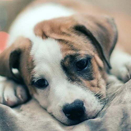 สมาชิกหมายเลข 5526525