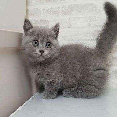 สมาชิกหมายเลข 4899048