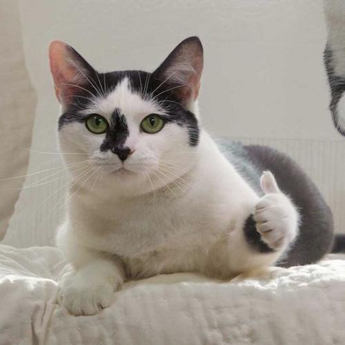 สมาชิกหมายเลข 5947525