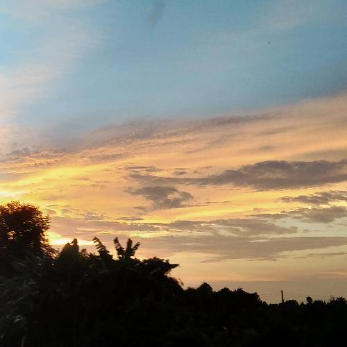 สมาชิกหมายเลข 6147589