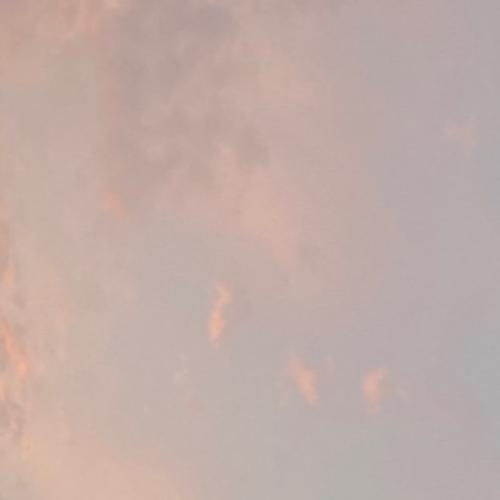 สมาชิกหมายเลข 1654296