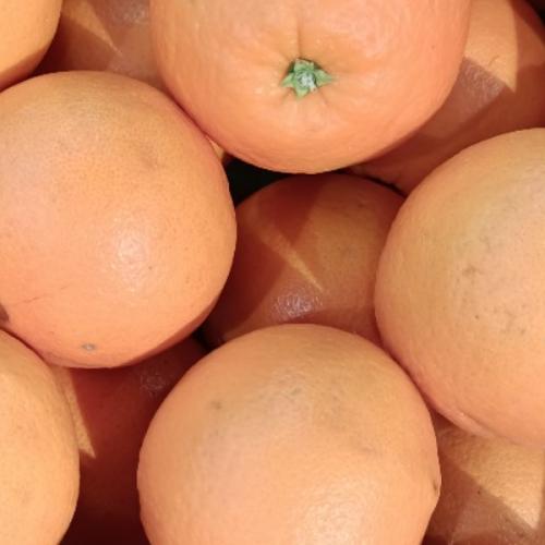 สมาชิกหมายเลข 6542782