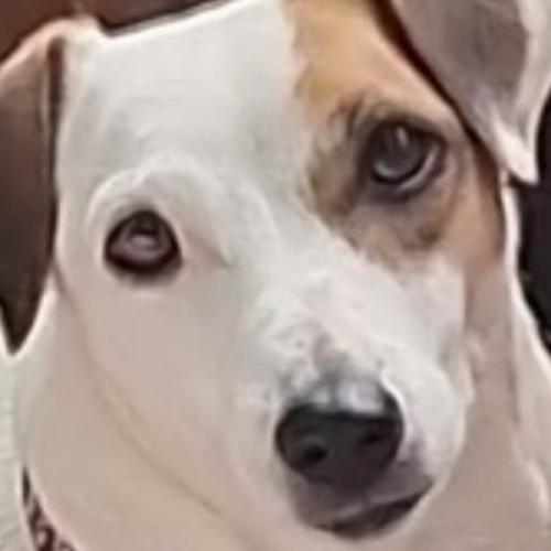 สมาชิกหมายเลข 4983864