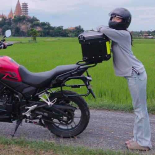 สมาชิกหมายเลข 8381386