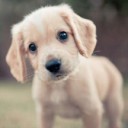 สมาชิกหมายเลข 2763945