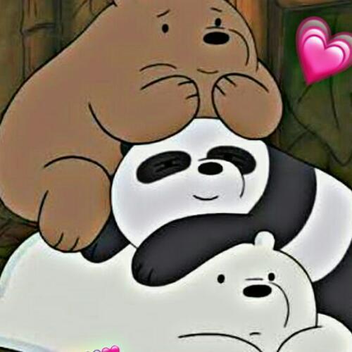 สมาชิกหมายเลข 4618516