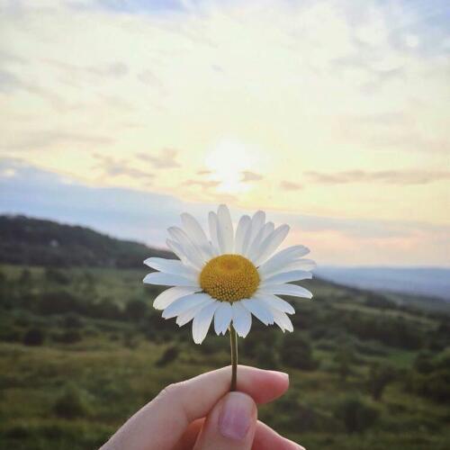 สมาชิกหมายเลข 1746702