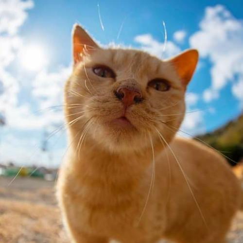 สมาชิกหมายเลข 4765610