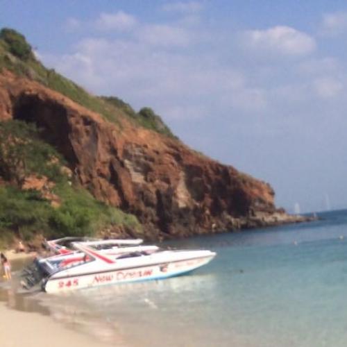 สมาชิกหมายเลข 5179031