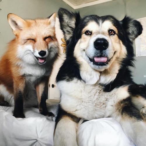 สมาชิกหมายเลข 5585240