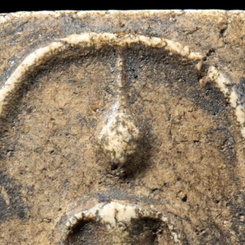 สมาชิกหมายเลข 5585545