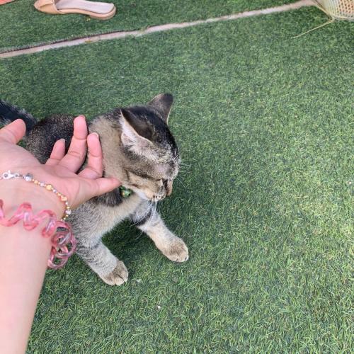 สมาชิกหมายเลข 5585576