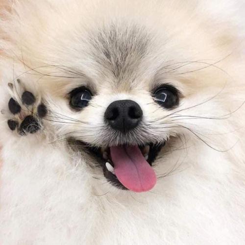 สมาชิกหมายเลข 6147830