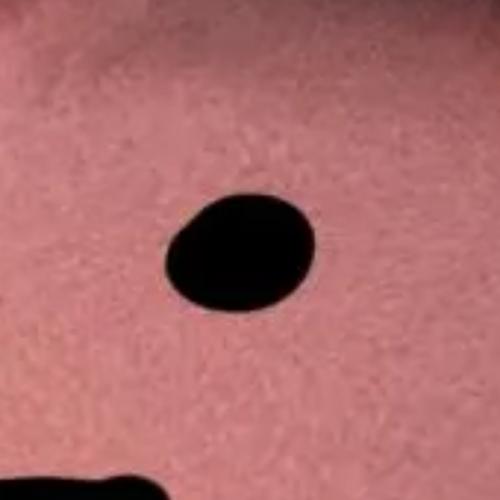 สมาชิกหมายเลข 6775381