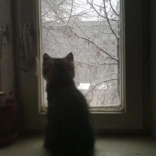 สมาชิกหมายเลข 8458185