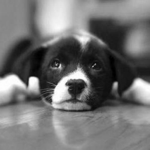 สมาชิกหมายเลข 3954874