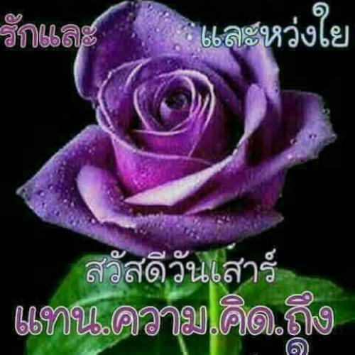 สมาชิกหมายเลข 4797905