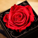 สมาชิกหมายเลข 1938642