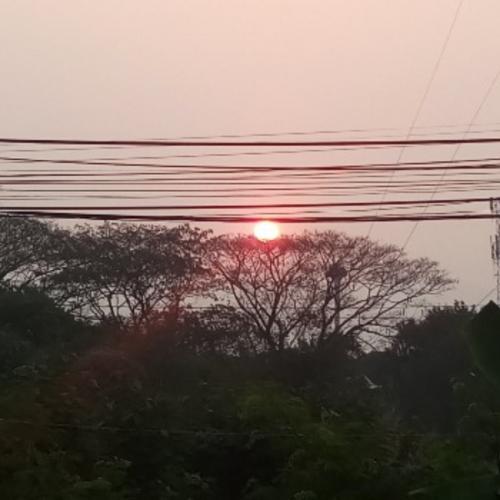 สมาชิกหมายเลข 2288339