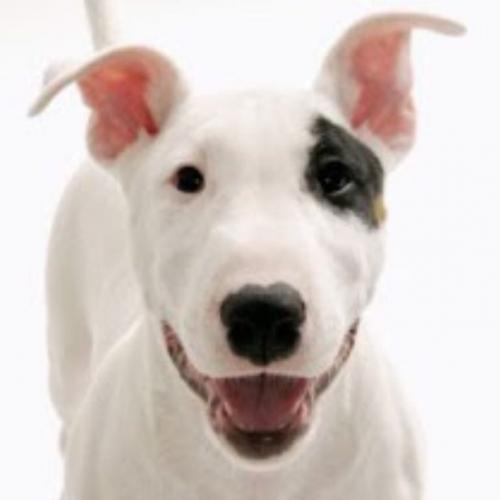 สมาชิกหมายเลข 4546791